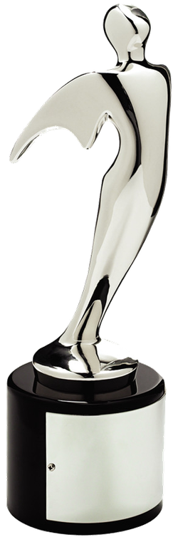 Silver Telly Award, 46th Annual Telly Awards